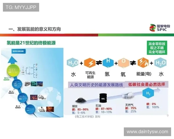 上海排球队的力量分析与未来发展展望探讨